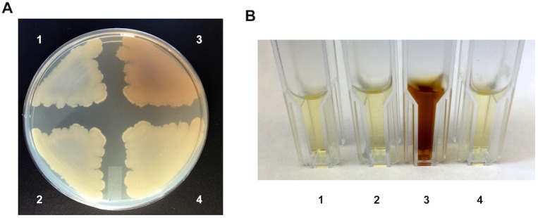 Fig 3