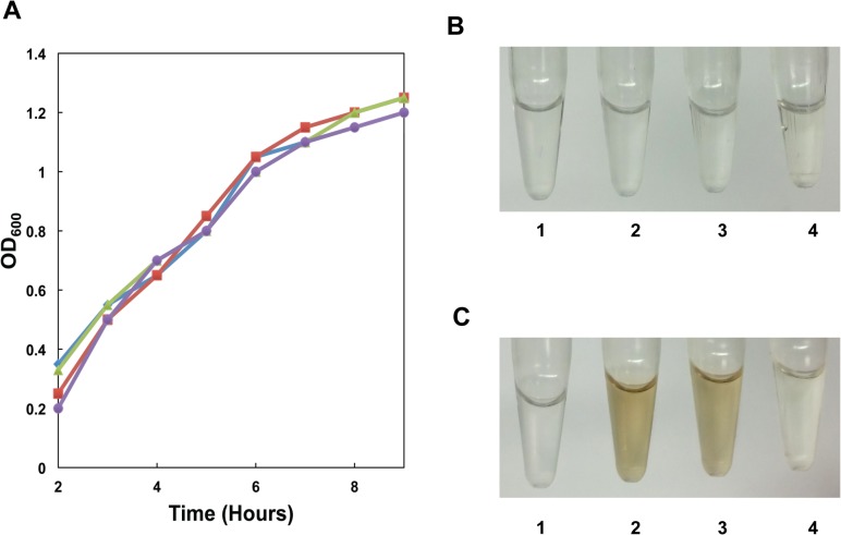 Fig 4