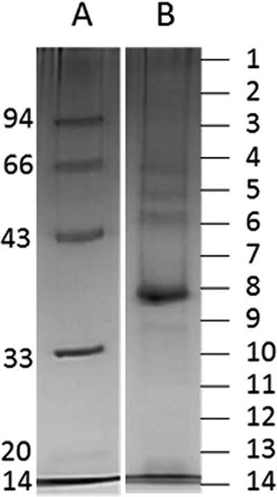 FIG 3