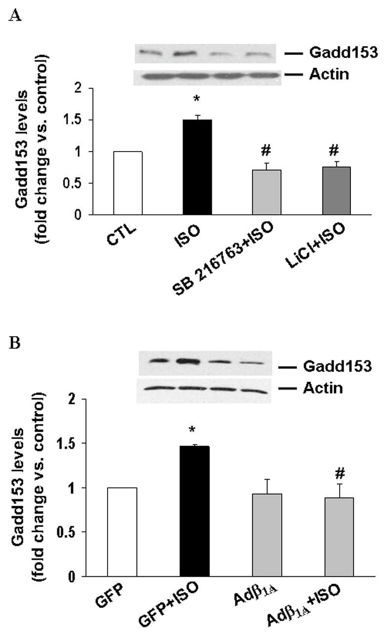 Fig 8