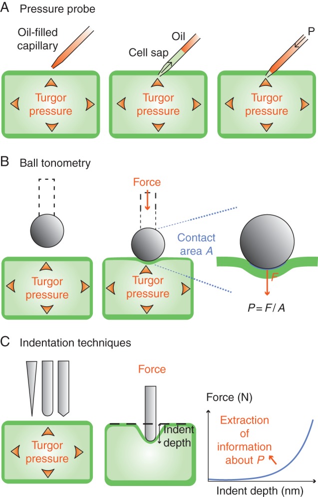 Fig. 4.