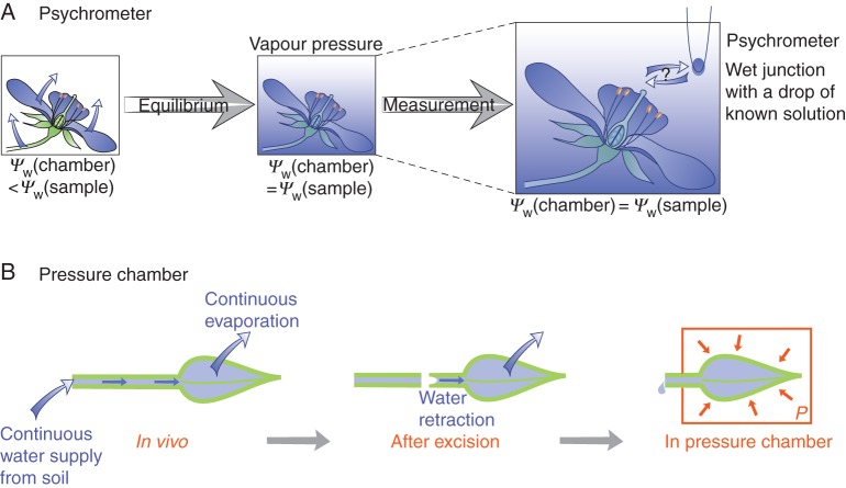 Fig. 2.