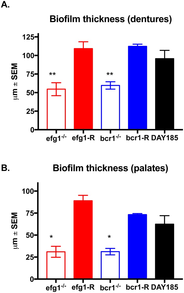 Fig 5