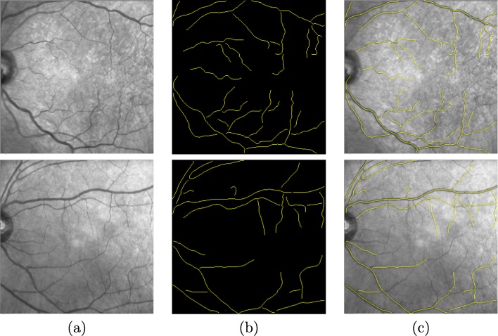 Fig. 4