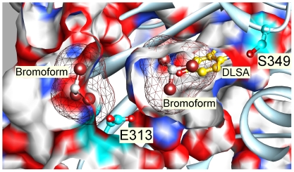 Figure 9