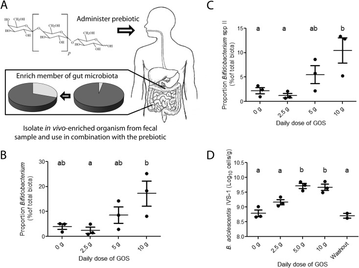 FIG 1