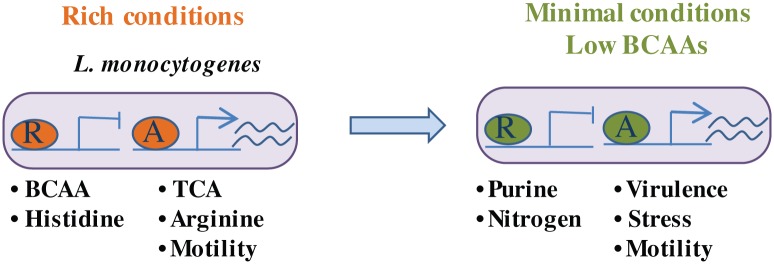 Fig 7