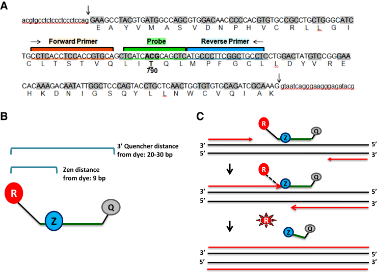 Figure 1