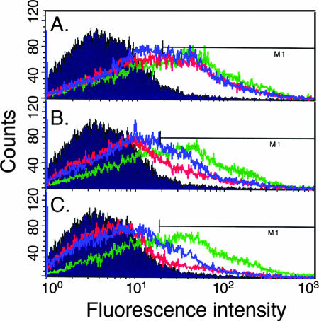 FIG. 2.