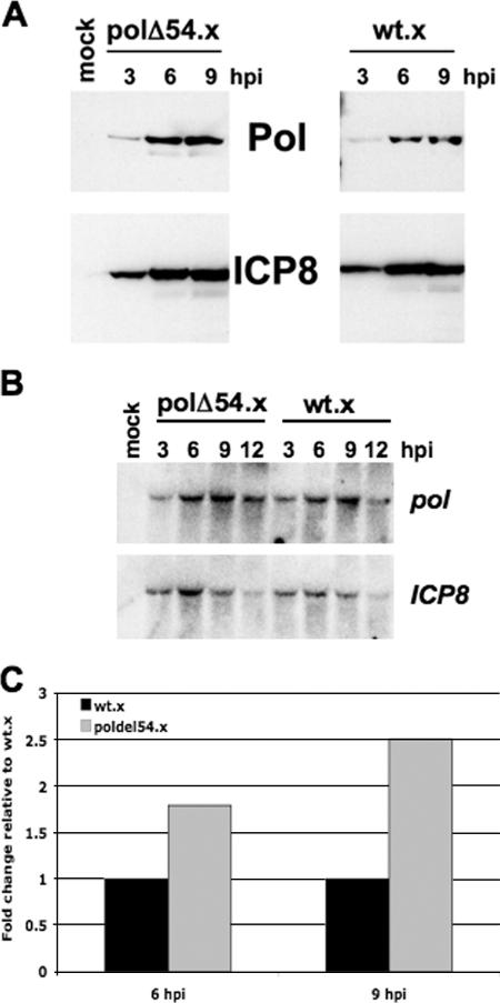 FIG. 6.