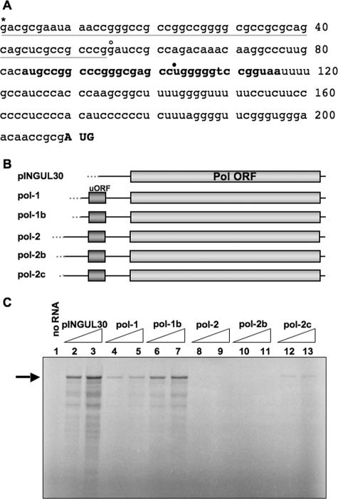 FIG. 1.