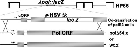 FIG. 5.