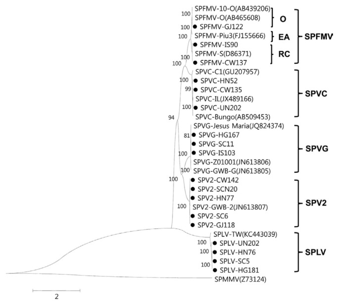 Fig. 5