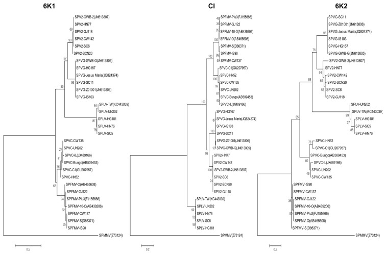 Fig. 7