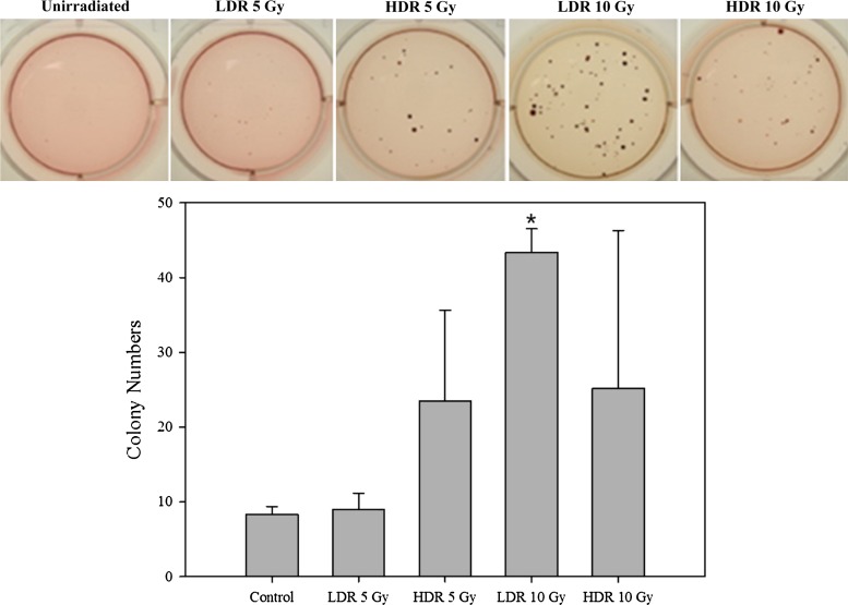 Fig. 4.