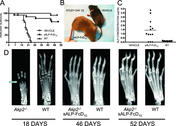 FIG. 4