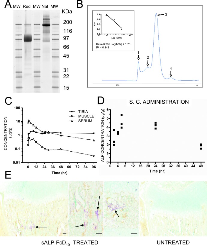 FIG. 1