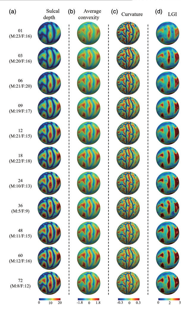 FIGURE 6