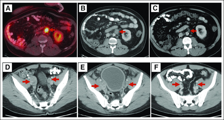 FIG A1.