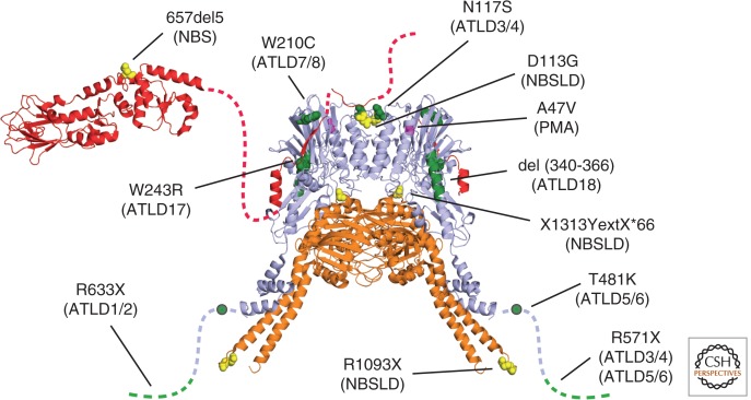 Figure 3.