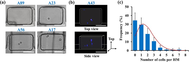 FIG. 2.