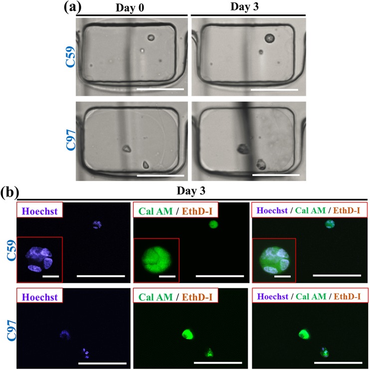 FIG. 6.