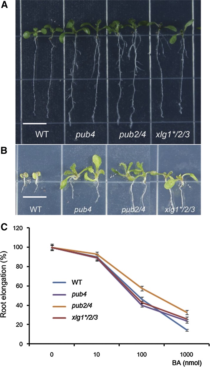 Figure 6.