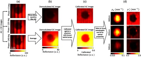 Fig. 2