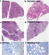 FIG 8