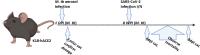 FIG 1