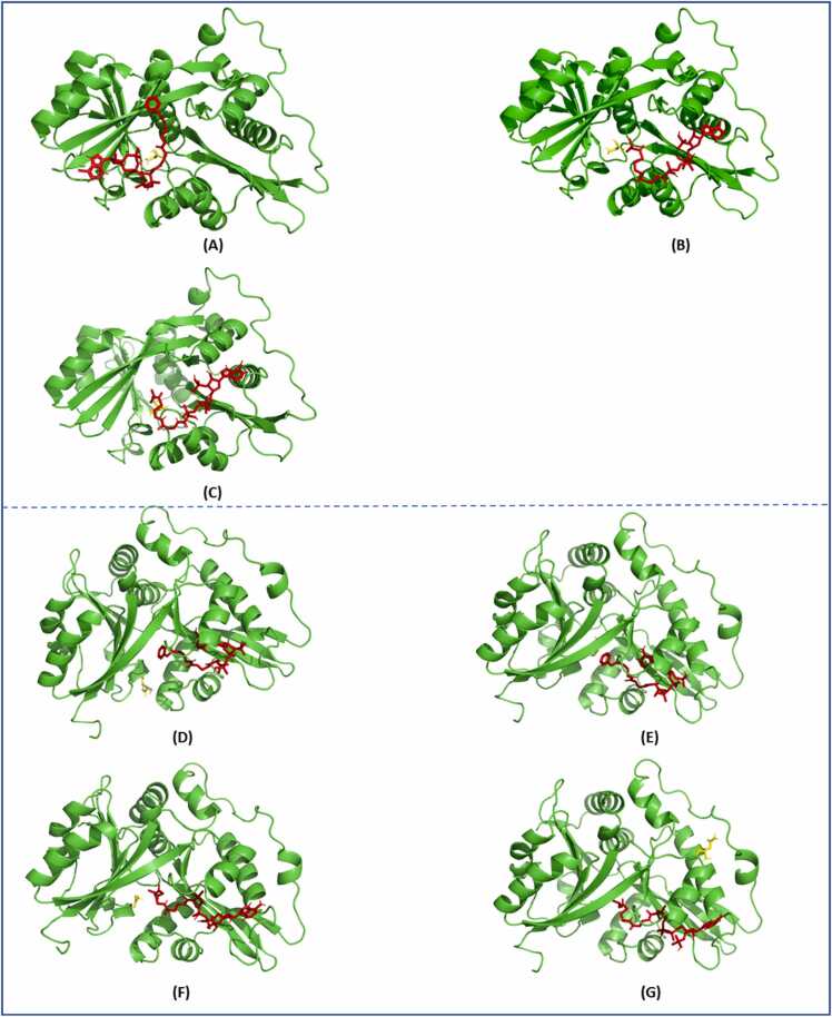 Fig. 3