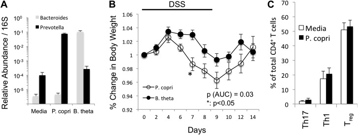 Figure 6—figure supplement 1.