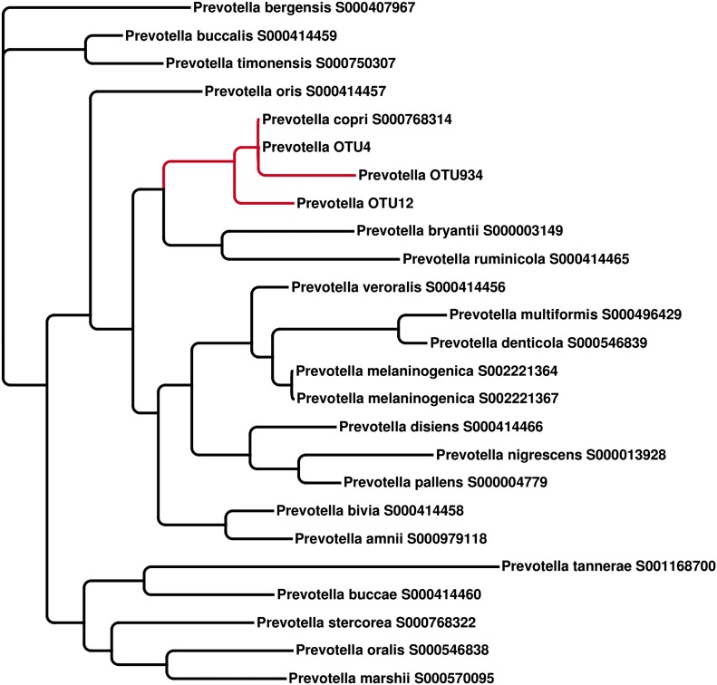 Figure 2—figure supplement 1.