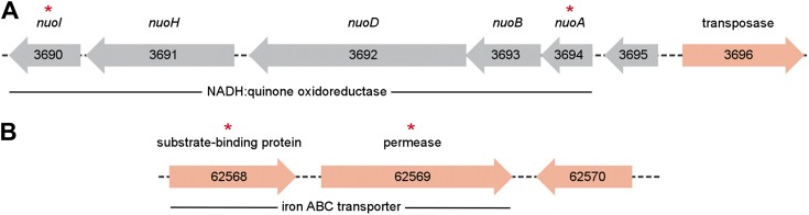 Figure 3—figure supplement 2.