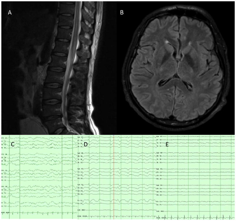 FIGURE 1