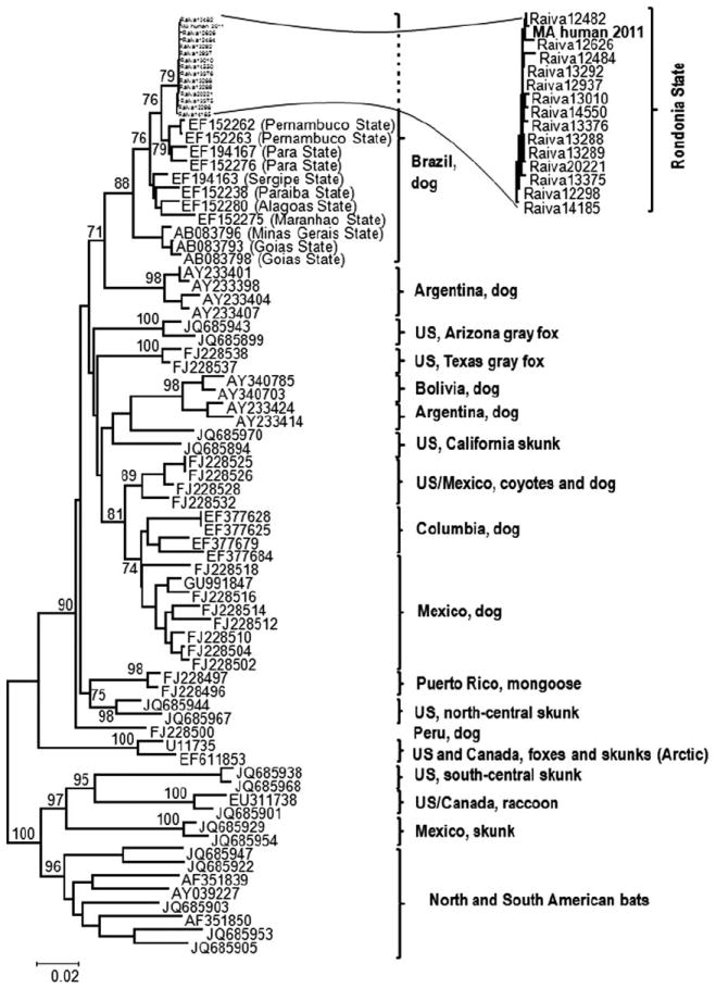 FIGURE 3