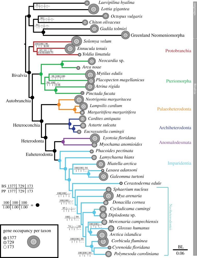 Figure 2.