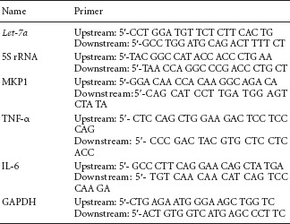 graphic file with name NRR-11-262-g002.jpg