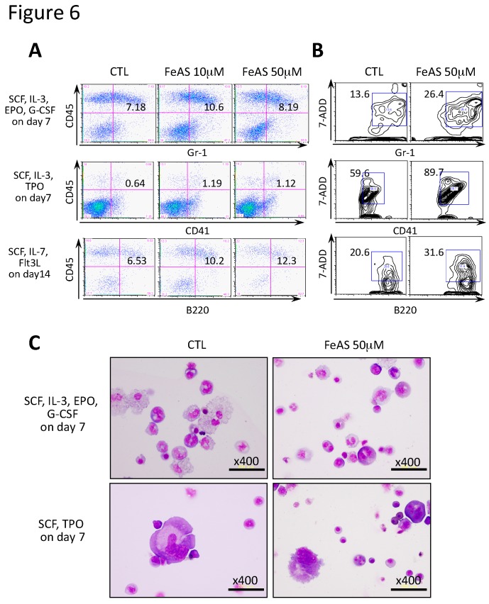 Figure 6