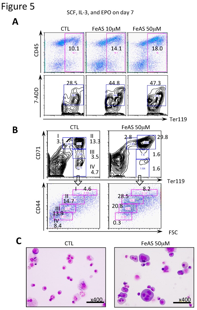 Figure 5