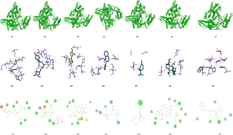 Figure 11.