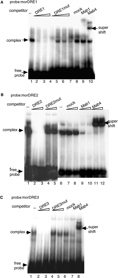 Figure 6.