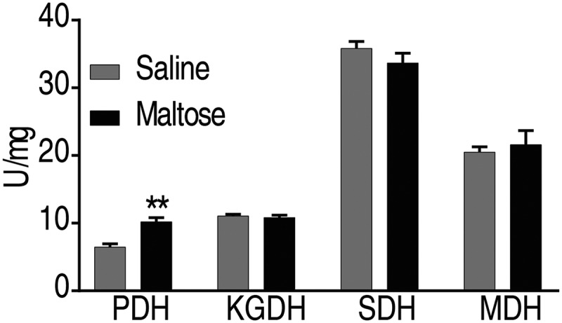 Figure 7.