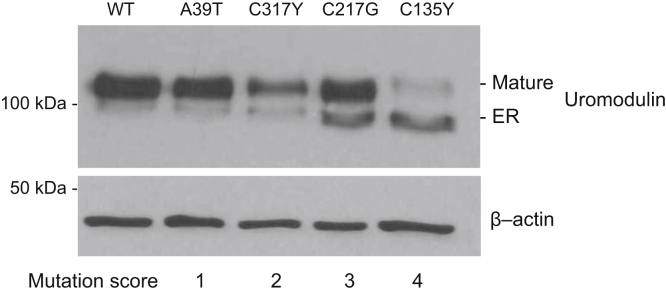 Figure 6