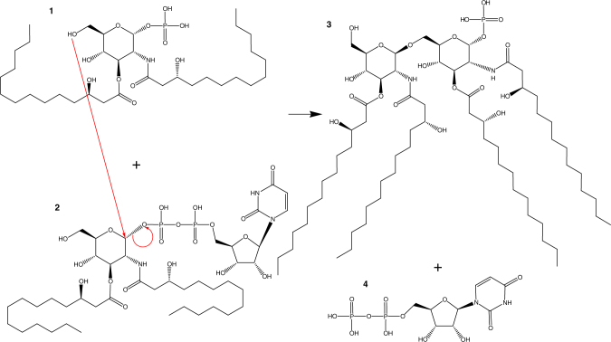 Fig. 1