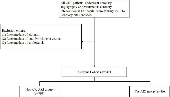 FIGURE 1