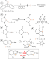 Scheme 1