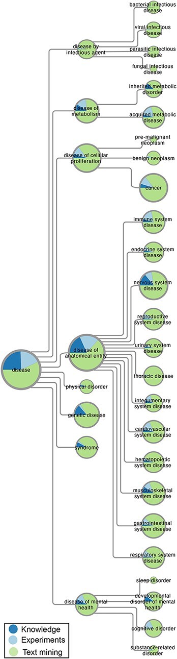 Figure 1.