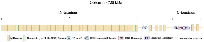 FIGURE 11