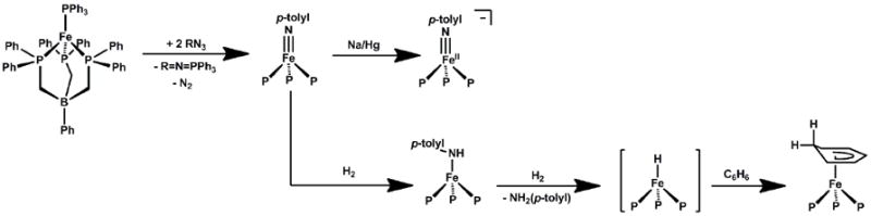 Scheme 5